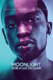 Moonlight: Sob a Luz do Luar (2016) Online