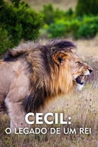Cecil: O Legado de um Rei (2020) Online