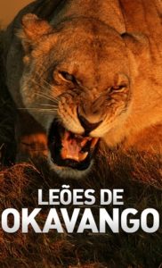 Leões de Okavango – Os Últimos Leões (2011) Online