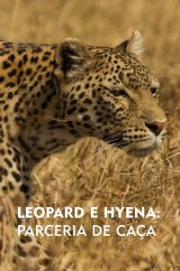 Leopardo e Hiena: Parceria de Caça (2021) Online