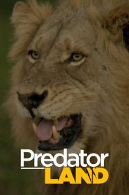 África – Presas vs. Predadores (2019)