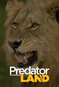 África – Presas vs. Predadores (2019)