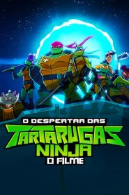 O Despertar das Tartarugas Ninja: O Filme (2022) Online