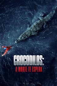 Crocodilos: A Morte Te Espera (2020) Online