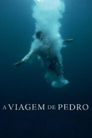 A Viagem de Pedro (2022) Online