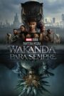 Pantera Negra: Wakanda para Sempre (2022) Online