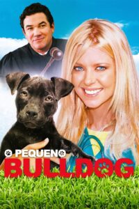 O Pequeno Bulldog (2020) Online