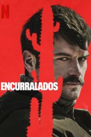 Encurralados (2023) Online