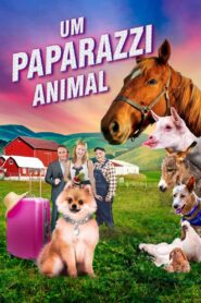 Um Paparazzi Animal (2019) Online
