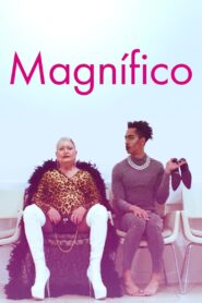 Magnífico (2019) Online