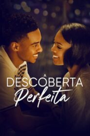 A Descoberta Perfeita (2023) Online