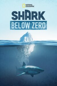 Shark Below Zero (2023) Online