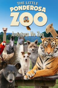 Aventura No Zoo (2017) Online