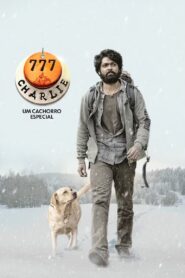 Charlie: Um Cachorro Especial (2022) Online