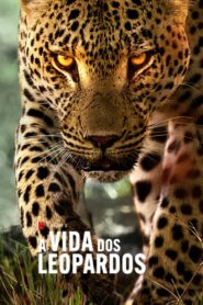 A Vida dos Leopardos (2024) Online