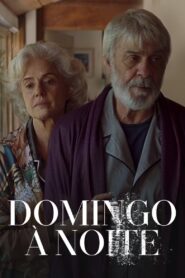 Domingo à Noite (2024) Online